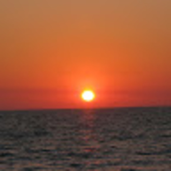 Meet your Posher, Noelle - Picture 1 of 1